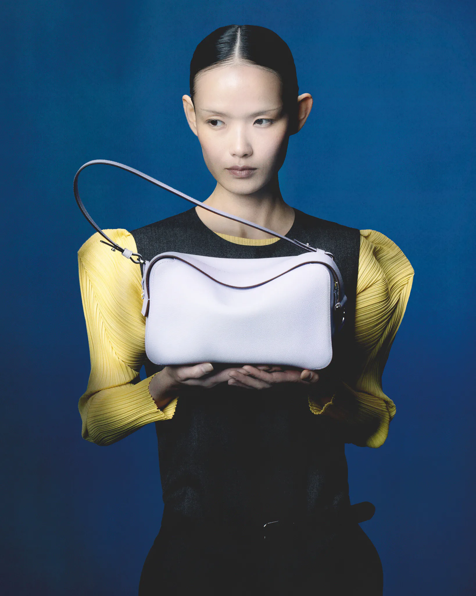 Introducing le Cool Move | Delvaux