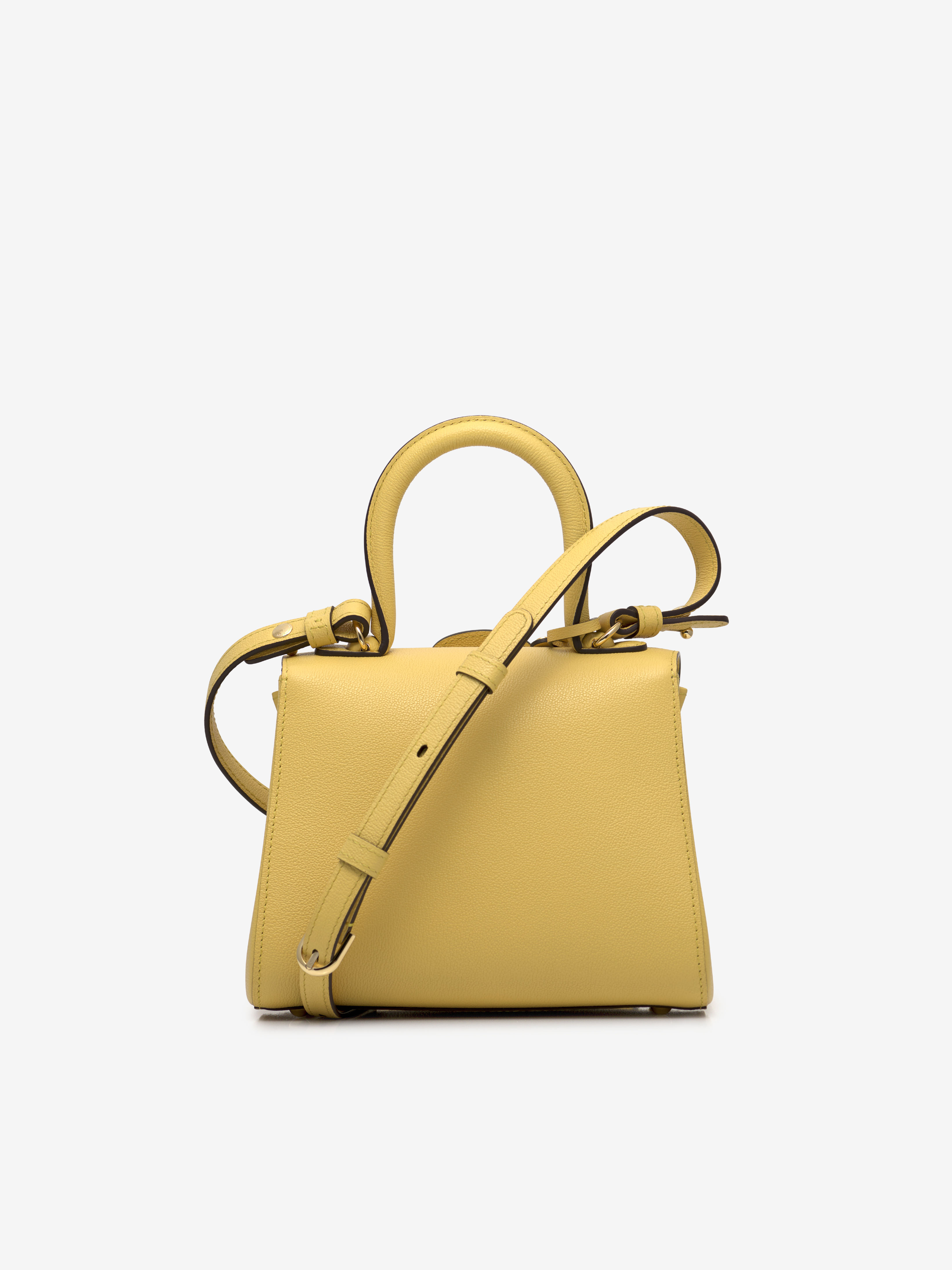 Brillant Mini Delvaux