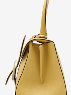 Delvaux Mini Brillant Bag Vegetal Rodeo Calf Gold Hardware – Coco Approved  Studio