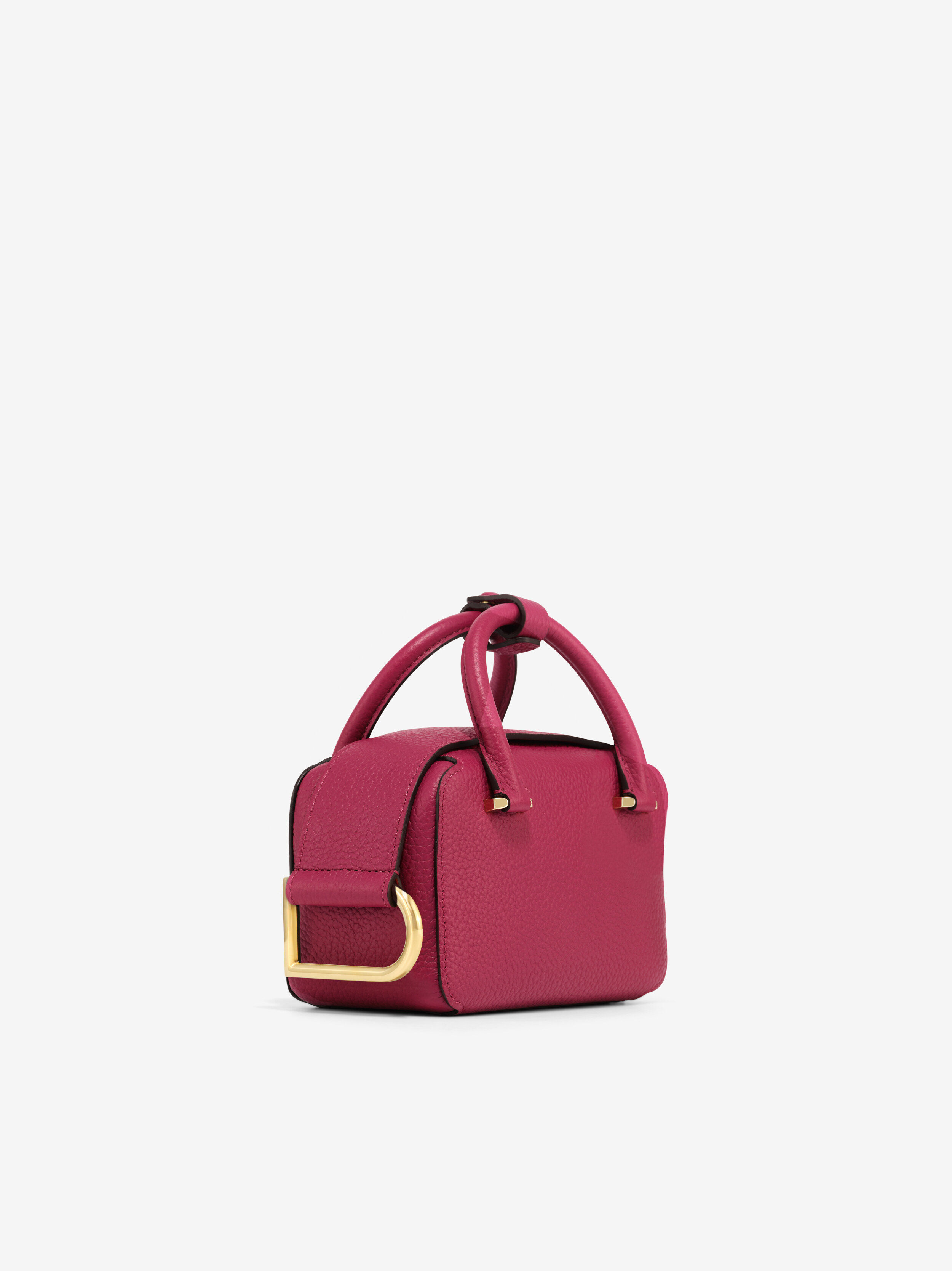 Delvaux bag online