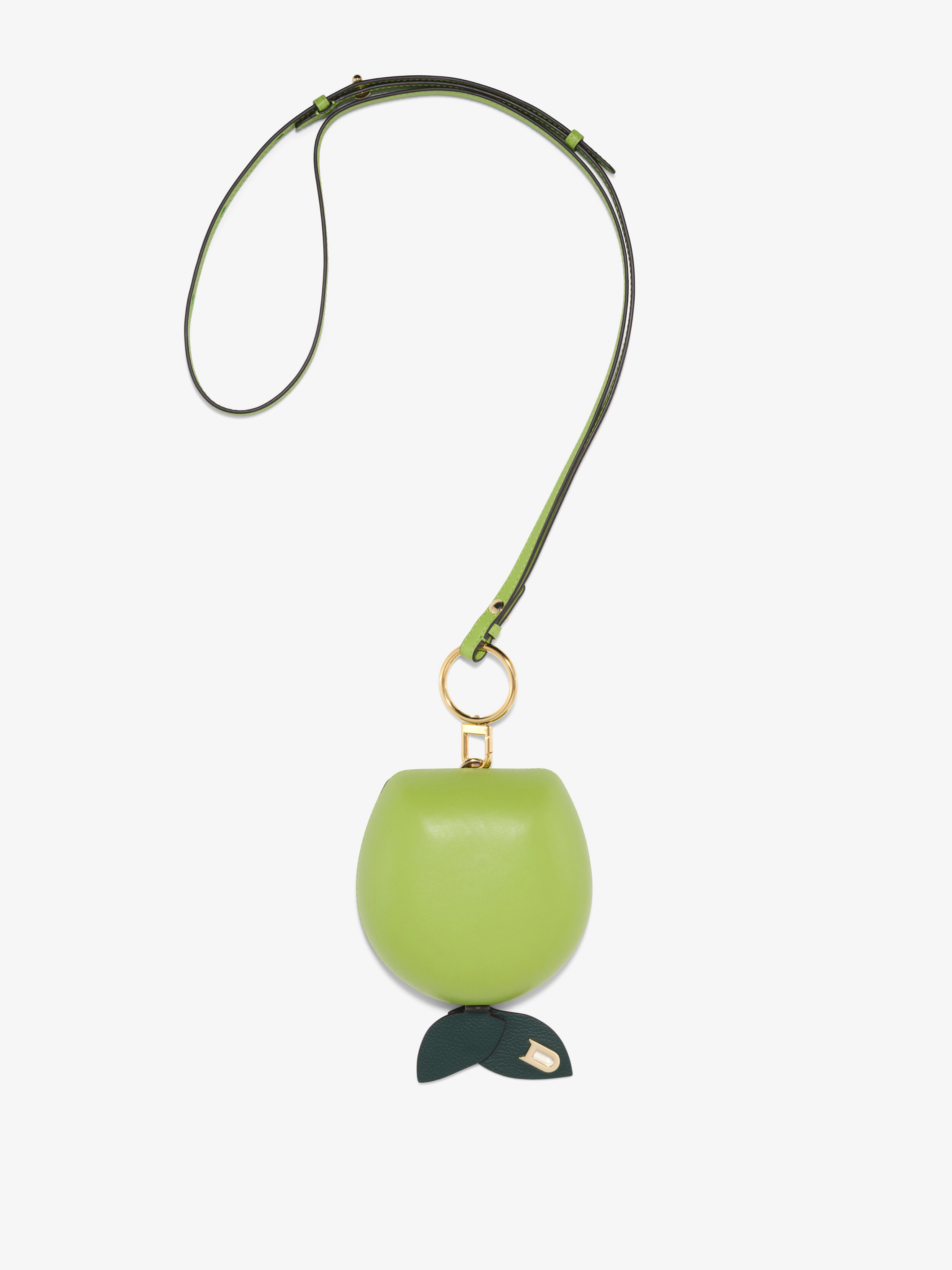 新品 ギフトラッピング付き DELVAUX vegetableフラグメントケース  