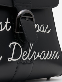 Delvaux brilliant mini black noir box calf