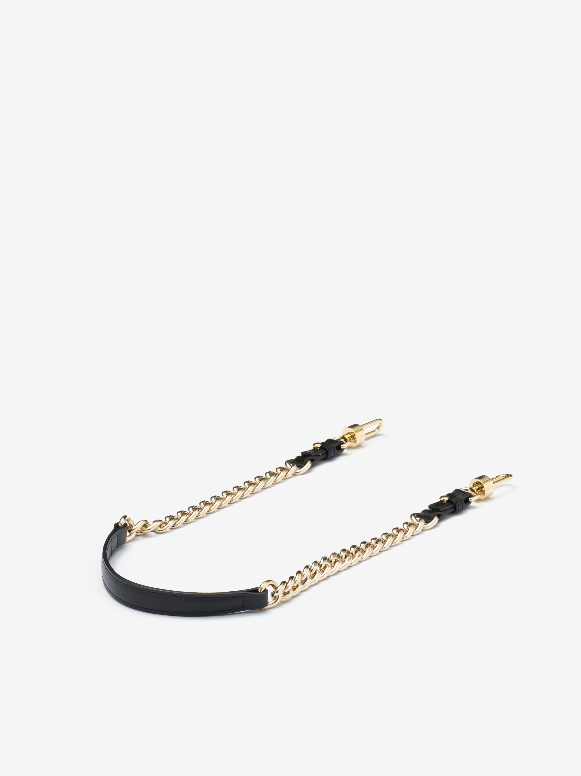 Short Chain Strap | Delvaux