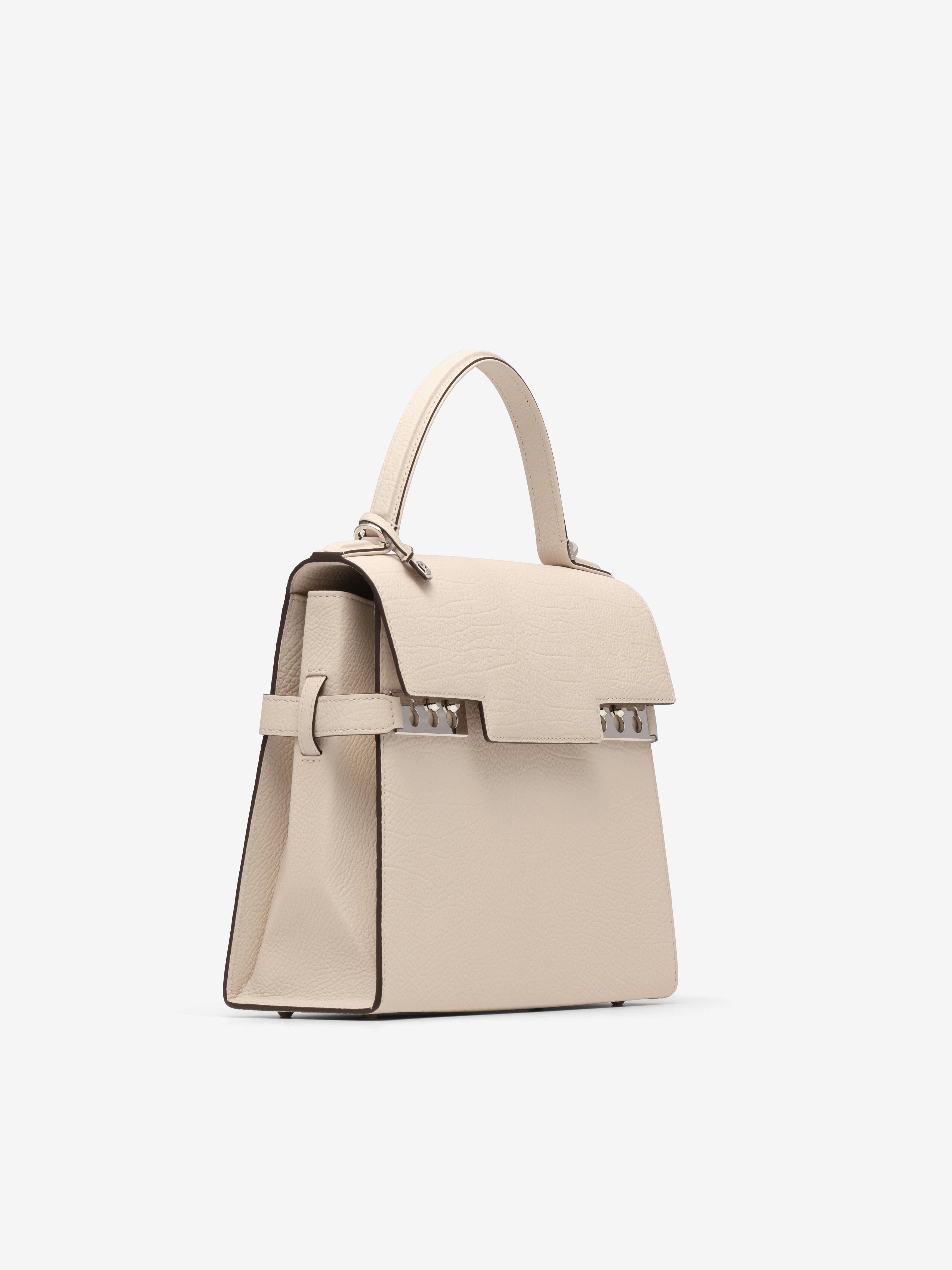 Luxury women handbags Delvaux