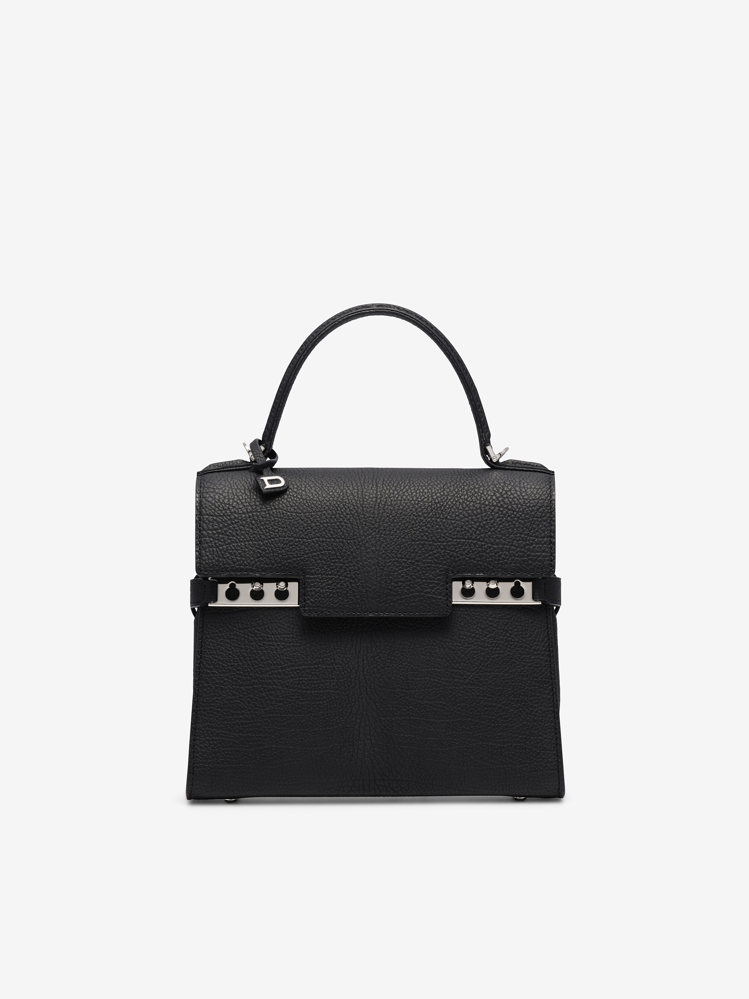 Temp te Handbag Delvaux