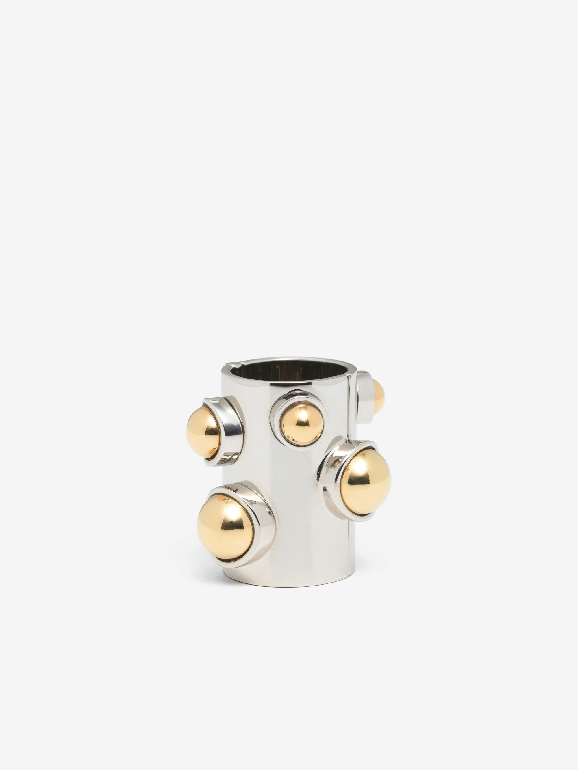 Short Chain Strap | Delvaux