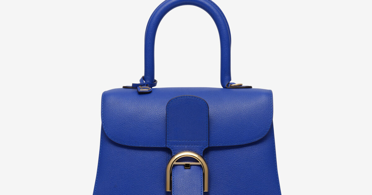 Delvaux brillant online pm