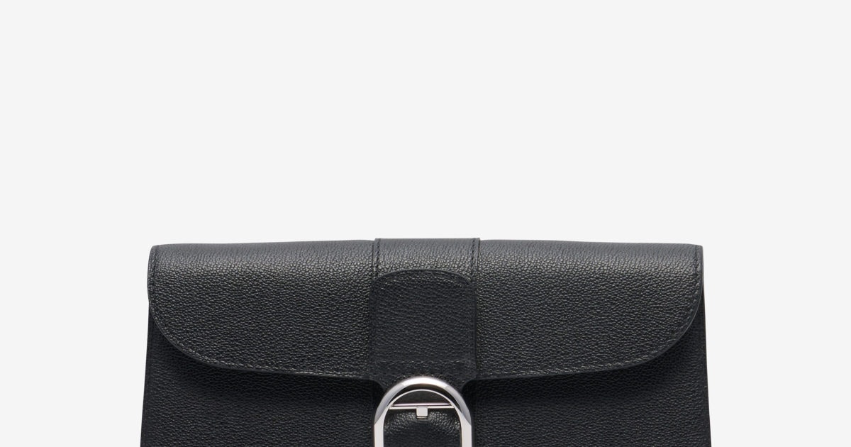 Delvaux Black Triple Zip Wallet/Wristlet Pouch - Ann's Fabulous Closeouts