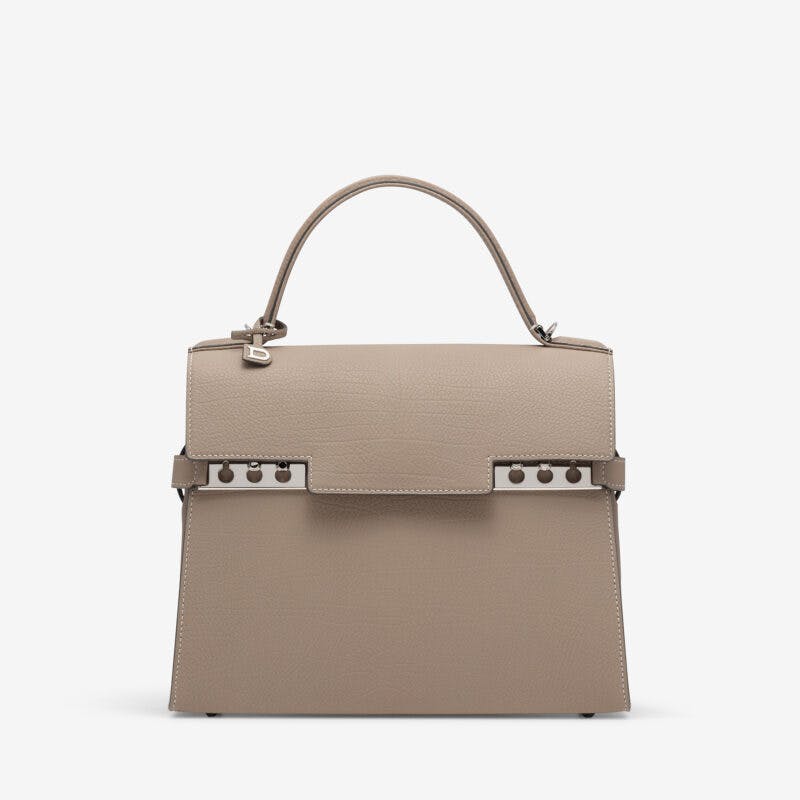 Delvaux best sale mini tempete